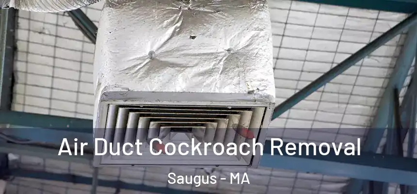 Air Duct Cockroach Removal Saugus - MA
