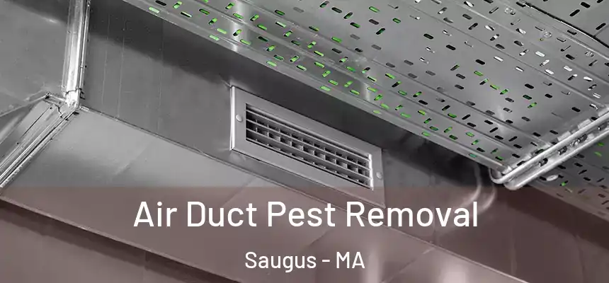 Air Duct Pest Removal Saugus - MA