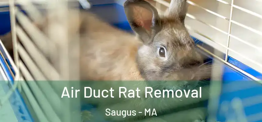  Air Duct Rat Removal Saugus - MA