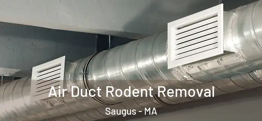  Air Duct Rodent Removal Saugus - MA