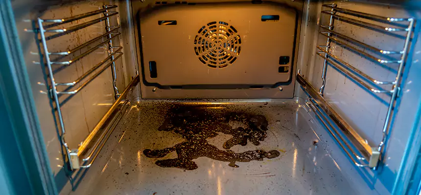 Our Dryer Vent Mold Cleaning Services in Saugus, MA