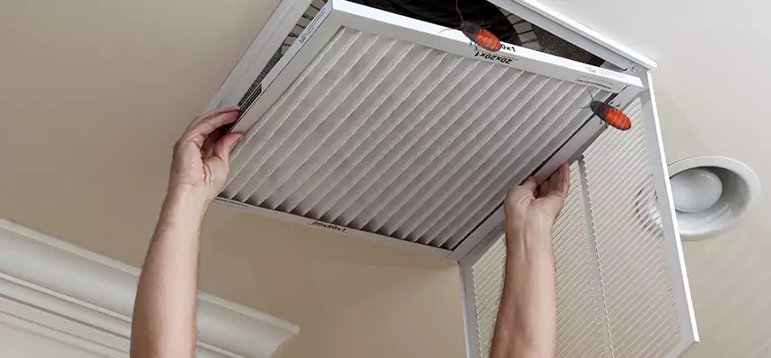 Our Insect Removal from Air Ducts Services in Saugus, MA