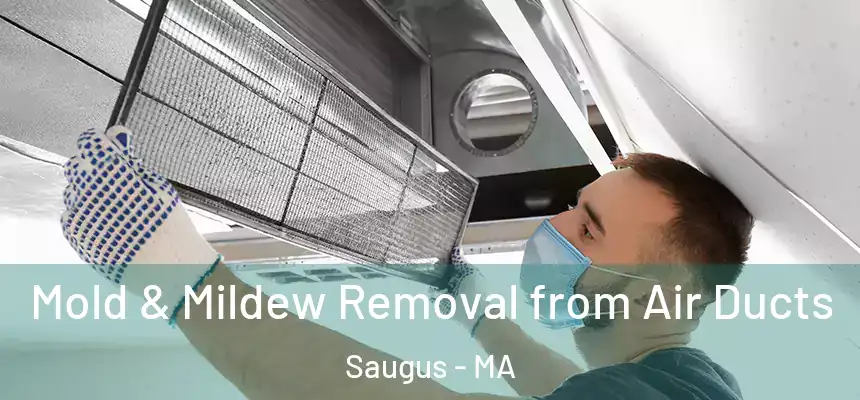  Mold & Mildew Removal from Air Ducts Saugus - MA