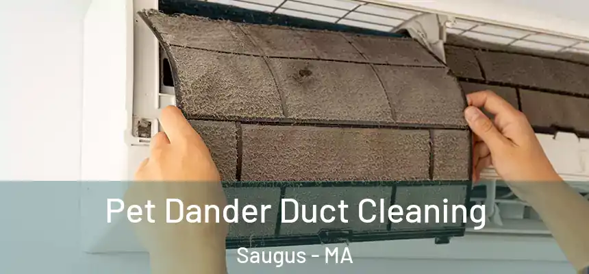  Pet Dander Duct Cleaning Saugus - MA