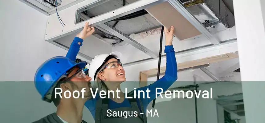  Roof Vent Lint Removal Saugus - MA