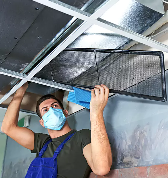 About Air Duct Bacteria Removal in Saugus