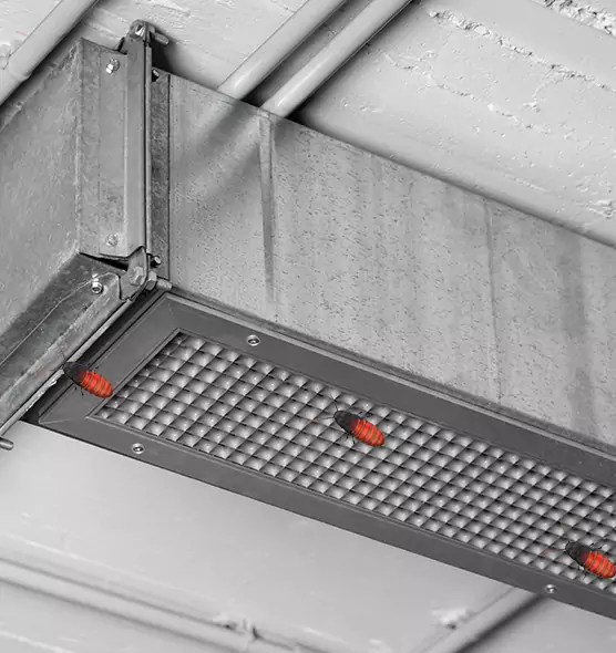 About Air Duct Cockroach Removal in Saugus, MA