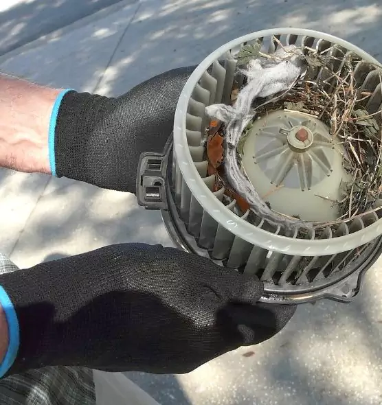 About Air Duct Rat Removal in Saugus, MA