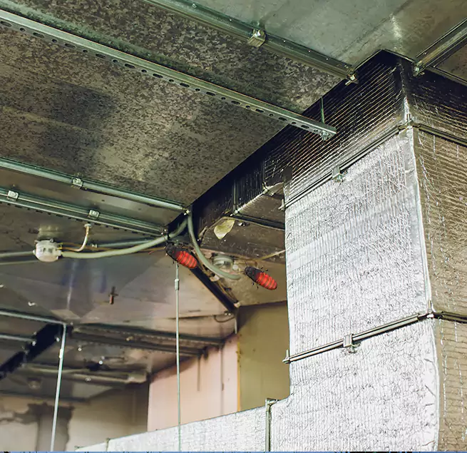 Why Homeowners & Businesses Trust Us in Saugus, MA?