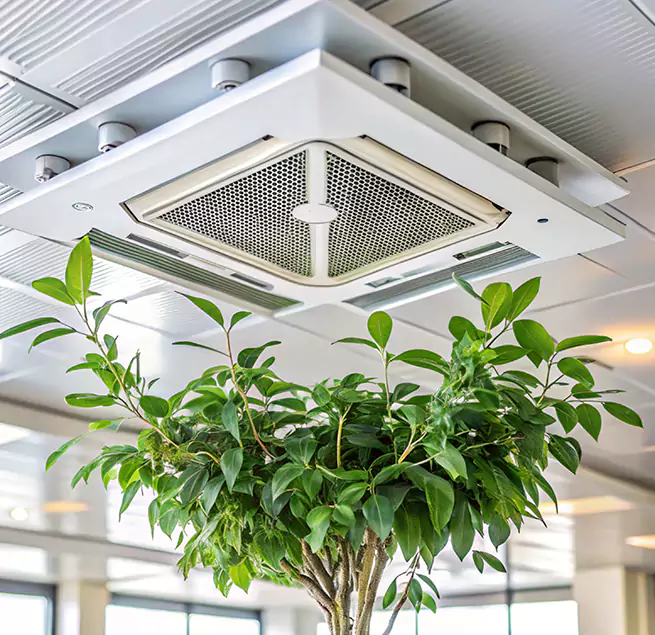 Why Homeowners & Businesses Trust Us in Saugus, MA?