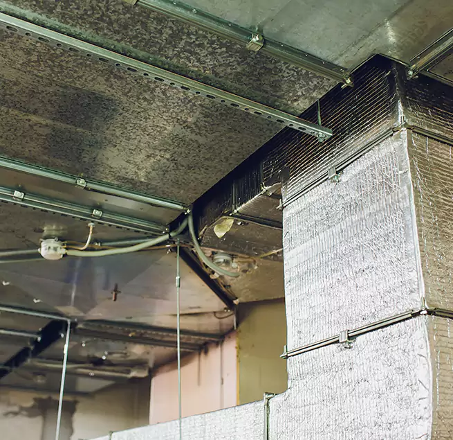 Why Homeowners & Businesses Trust Us in Saugus, MA?